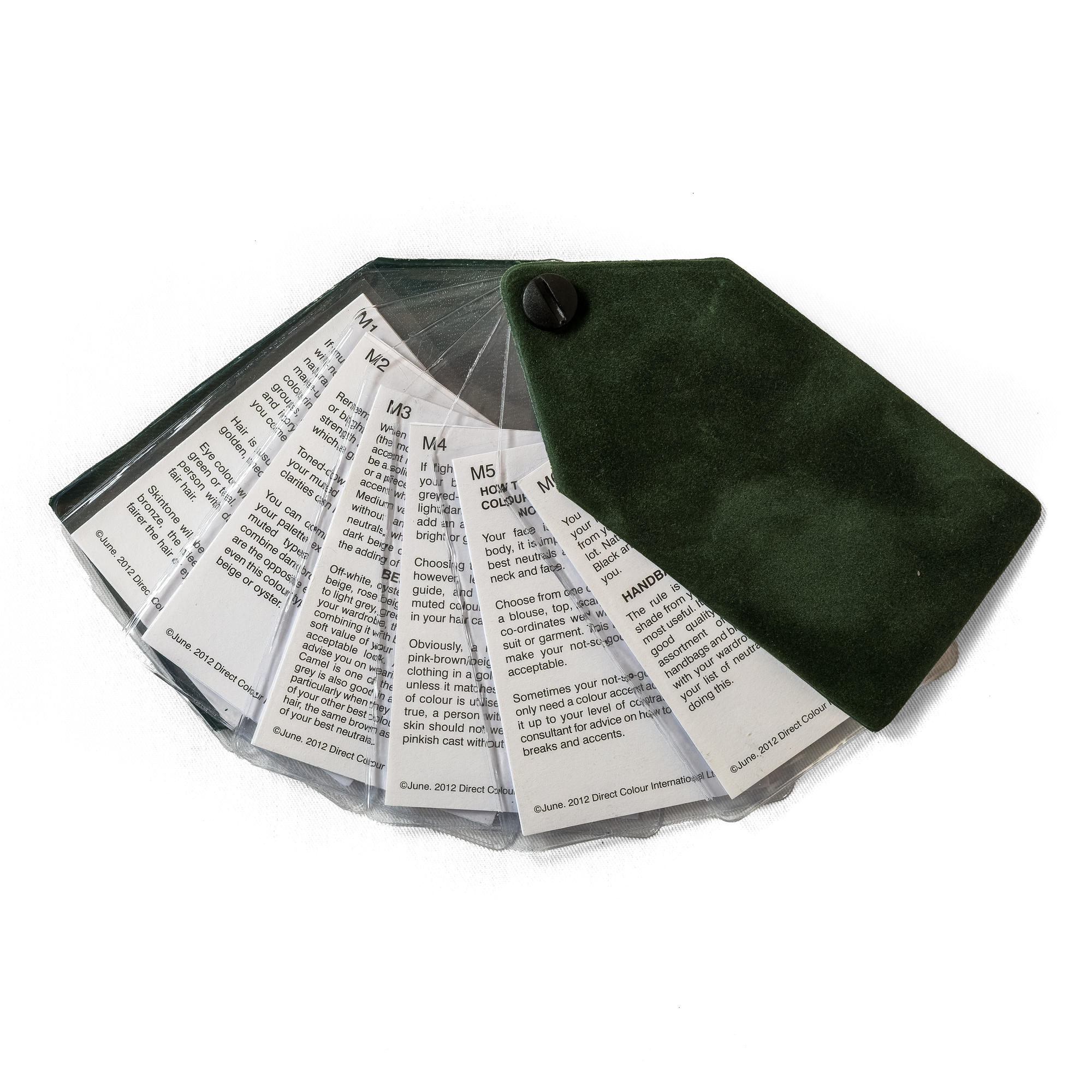 Tonal Safe Fan 18 - Muted - Image 2